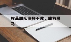 埃菲联队保持不败，成为黑马！的简单介绍